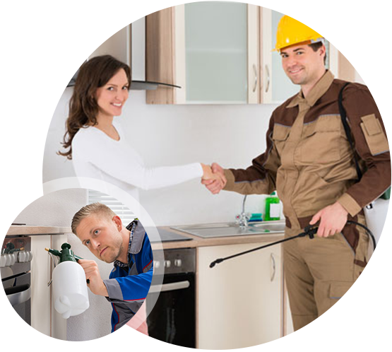pest control in lucknow